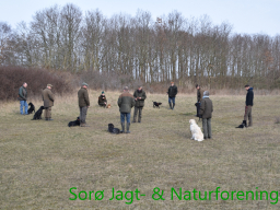 Hundetræning forår 2015